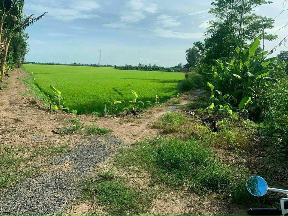 Đất nền 500m² tại phường Mỹ Thới, Long Xuyên - Giá thỏa thuận hấp dẫn!