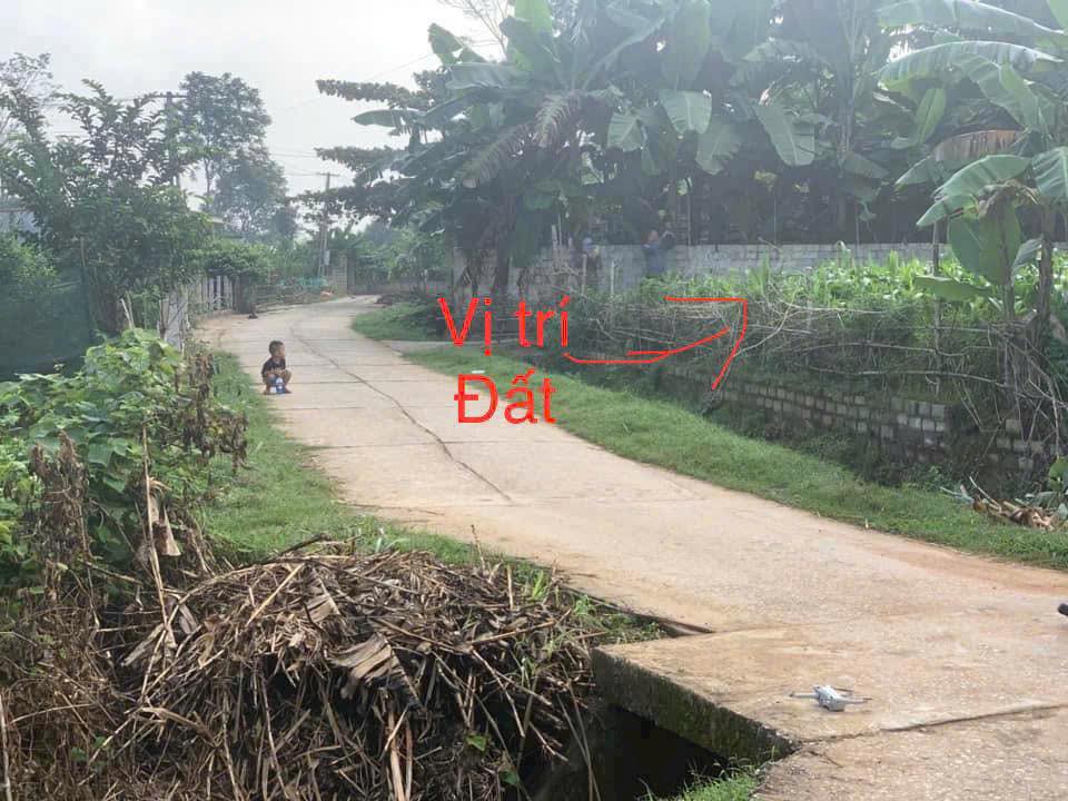 Đất nền Tượng Lĩnh Nông Cống 172m² giá chỉ 200 triệu - Cơ hội đầu tư hấp dẫn!