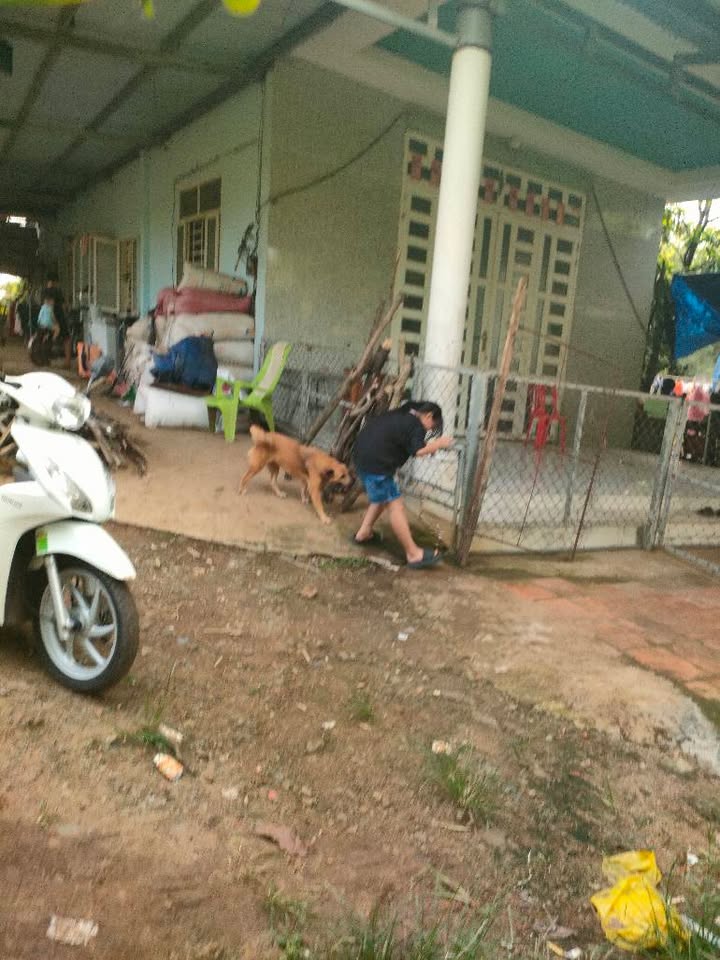 Đất Bàu Hàm, Trảng Bom 41.400m² giá 1.395 tỷ - Cơ hội đầu tư hấp dẫn!