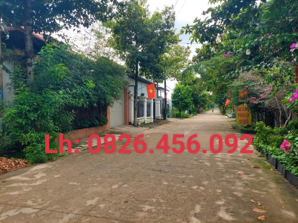 Đất nền Tân Bình, Đồng Xoài 220m² giá chỉ 1xxx - Đầu tư sinh lời ngay!