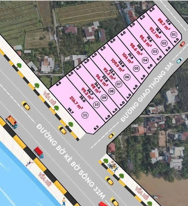 Đất nền Tân Triều, Biên Hòa 100m² giá 1.65 tỷ - Tiềm năng tăng giá mạnh!