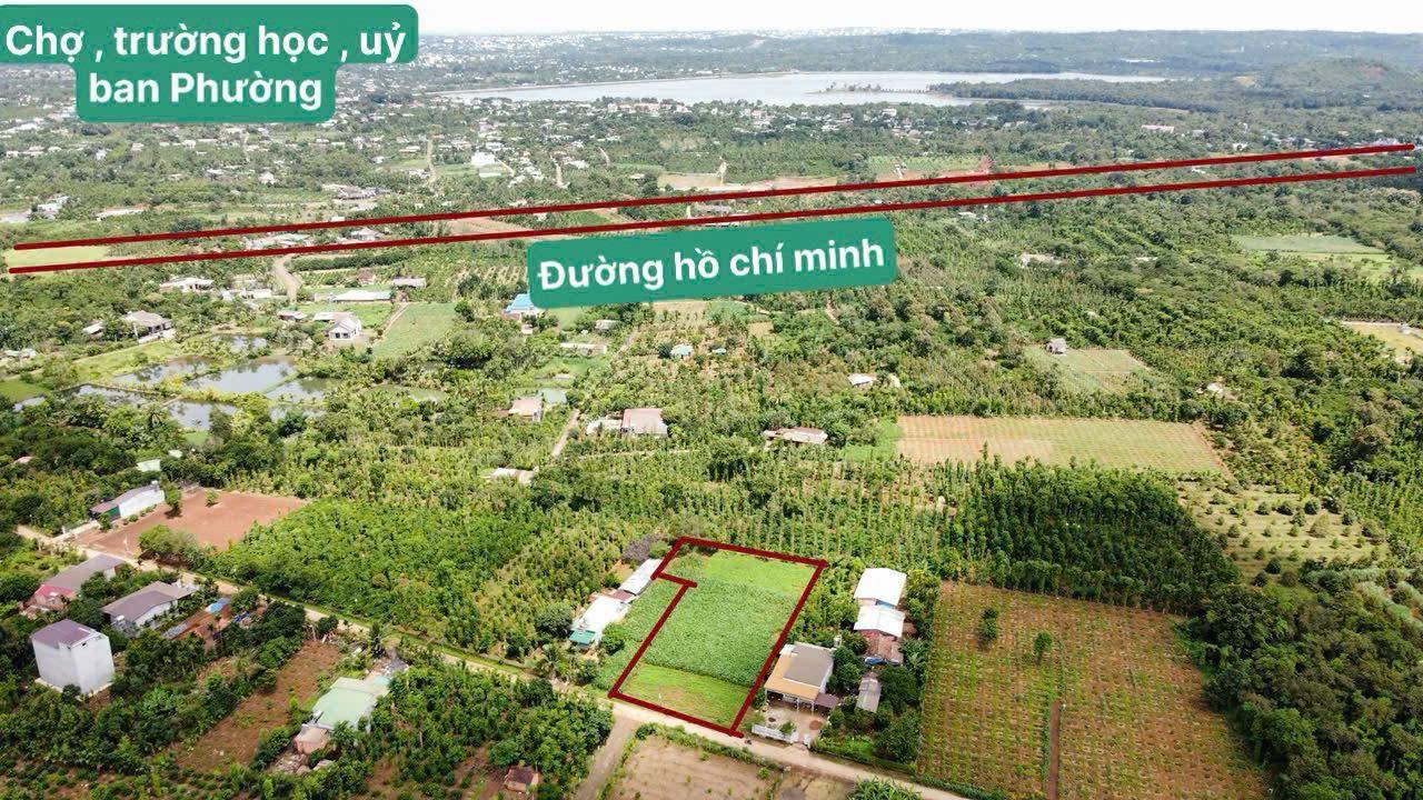 Đất thổ cư 2,2 sào tại thôn 3, phường Ea Kao - Giá 3,15 tỷ - Cơ hội đầu tư hấp dẫn!