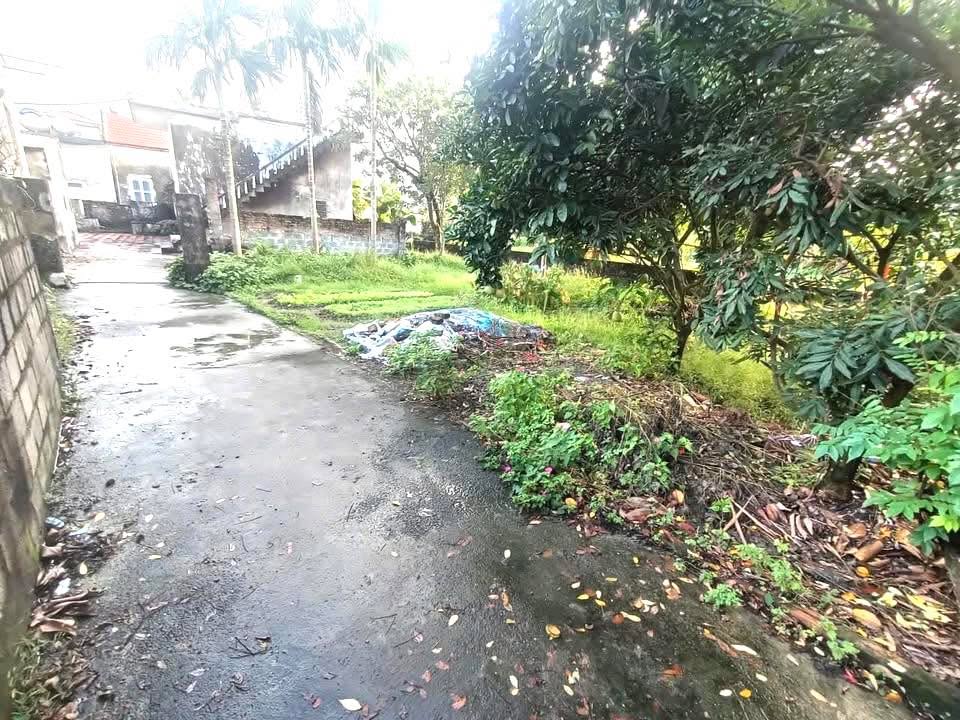 Đất thổ cư 437m² tại Đồn Xá, Bình Lục - Giá chỉ 1.3 tỷ VND!