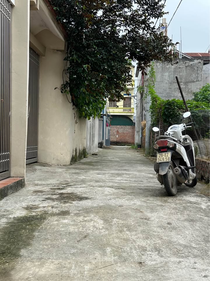 Đất thổ cư Việt Hùng Quế Võ 80m² giá 1 tỷ - Vị trí đẹp, đầu tư sinh lời!