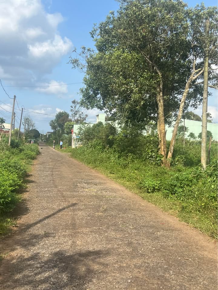 Đất nền hẻm 46 Nguyễn Kiệm Pleiku 300m² - Giá đầu tư hấp dẫn chỉ 700 triệu!