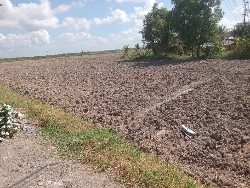 Đất nền Cà Mau 4665m² giá 2.75 tỷ - Tiềm năng sinh lời cao!