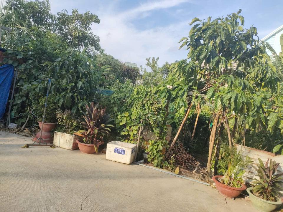 Đất thổ cư 473m² mặt tiền Trần Văn Mười, Hóc Môn chỉ 11 tỷ - Cơ hội đầu tư hấp dẫn!