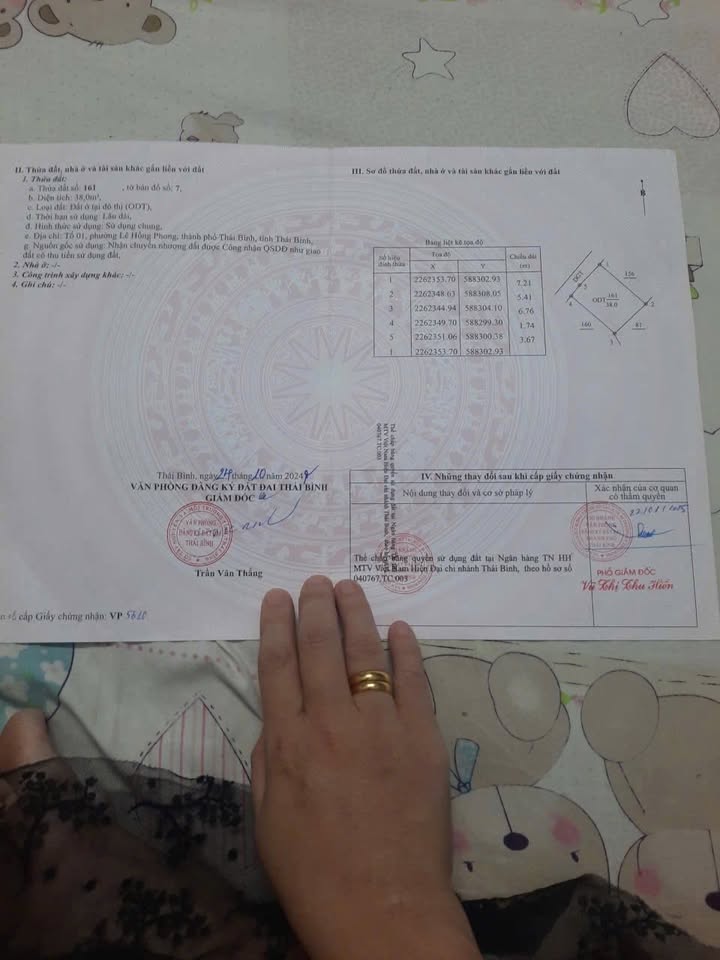 Nhà 3 tầng phường Lê Hồng Phong, Thái Bình 38m² giá 1.9 tỷ - Vị trí đắc địa gần trung tâm!