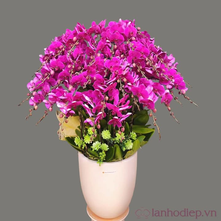 Đất nền Vũ Lăng, Tiền Hải 122m² giá chỉ chưa đến 1 tỷ - Cơ hội đầu tư tuyệt vời!