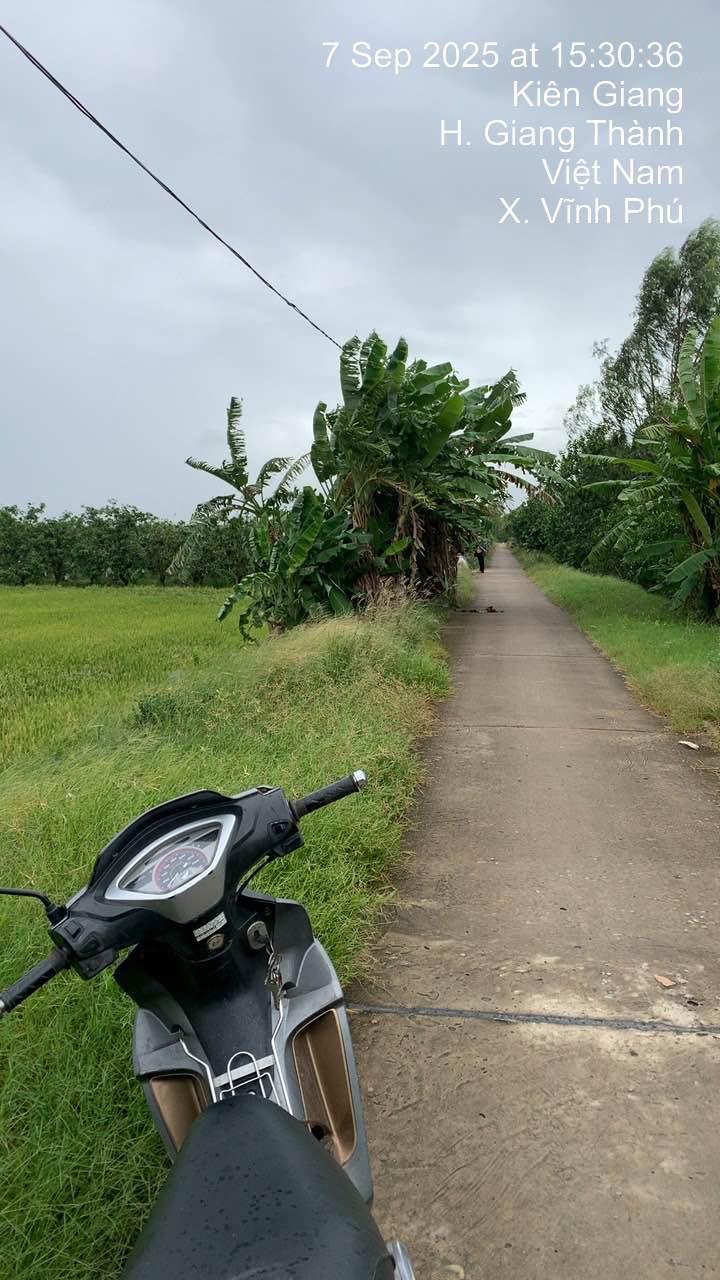 Đất thổ cư 15m x 40m tại Vĩnh Trạch, An Giang giá 3.5 tỷ - Cơ hội đầu tư hấp dẫn!