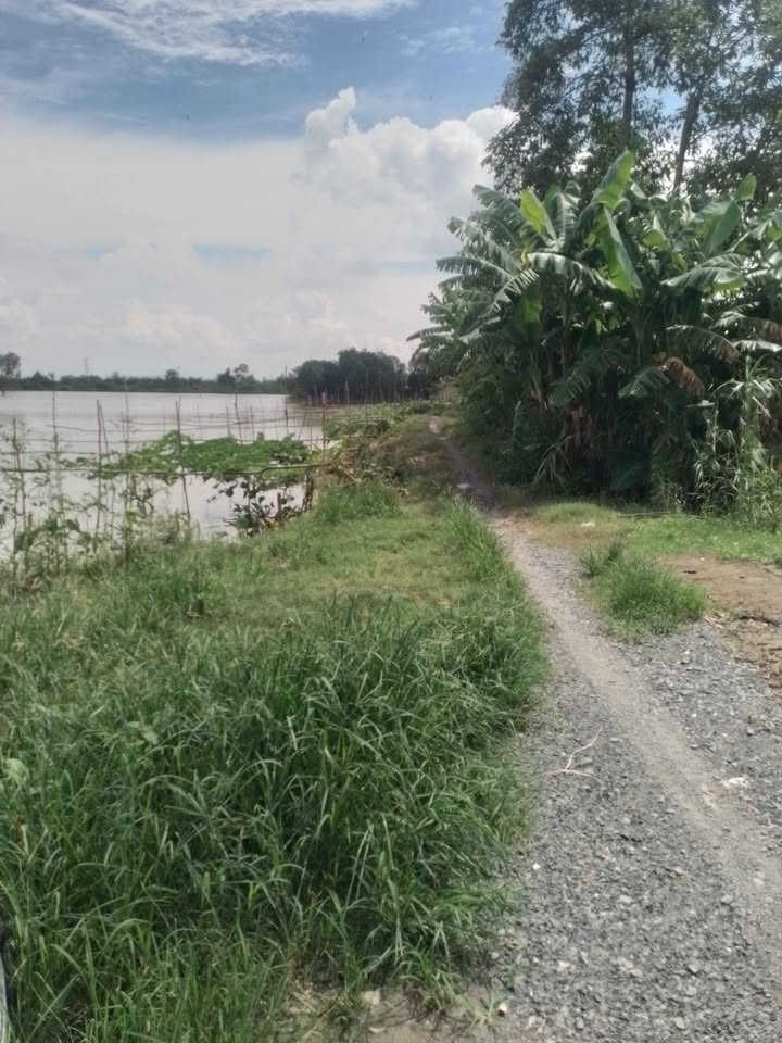 Đất nền 13000m² tại Phường Mỹ Thới, Long Xuyên giá chỉ 3.64 tỷ - Cơ hội đầu tư tuyệt vời!