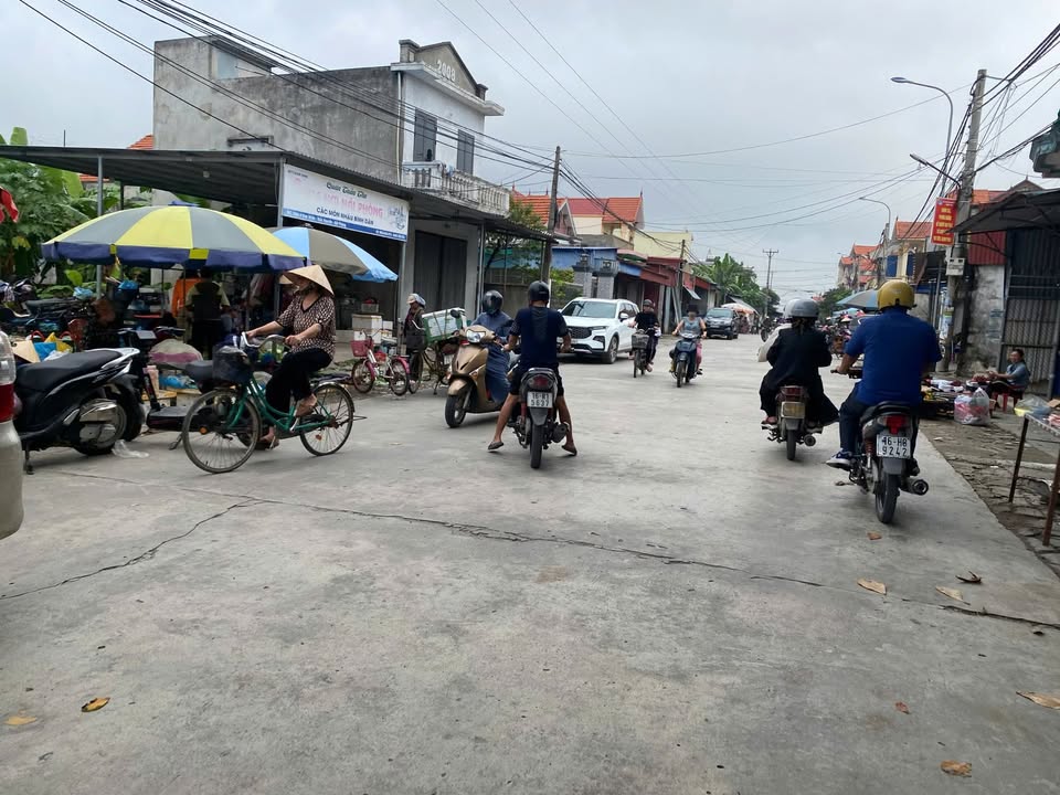 Đất nền dự án bán gấp tại Phường Lê Ích Mộc, Thủy Nguyên, Hải Phòng - Diện tích 60m² chỉ 745 triệu!