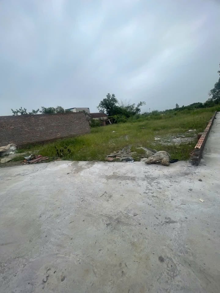 Đất nền Đại Bái, Gia Bình, Bắc Ninh 125m² giá 2.1 tỷ - Đầu tư tiềm năng!