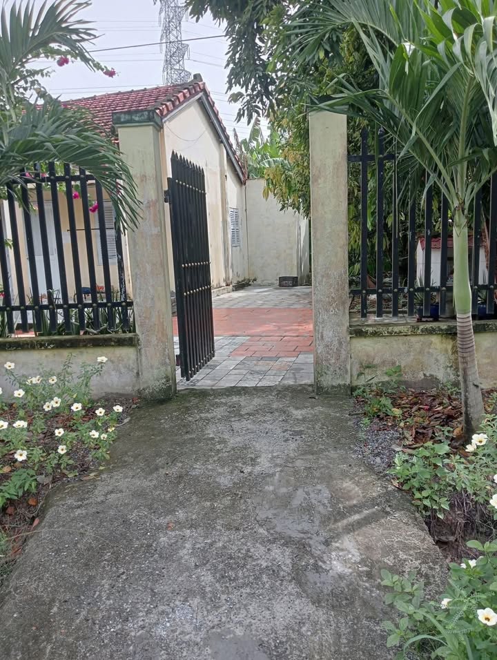 Nhà cho thuê ấp Bàu Chứa, xã Nhuận Đức 1.3 triệu/tháng - Cơ hội tốt cho bạn!