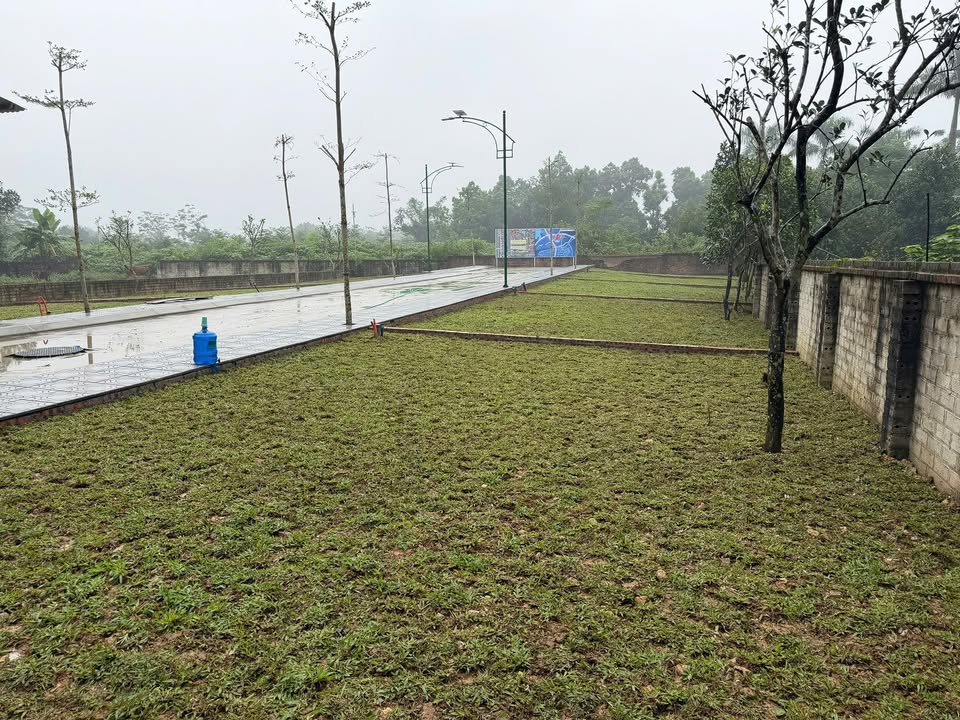 Đất thổ cư Cổ Đông, Sơn Tây 100m² giá 300 triệu - Đầu tư sinh lời ngay!