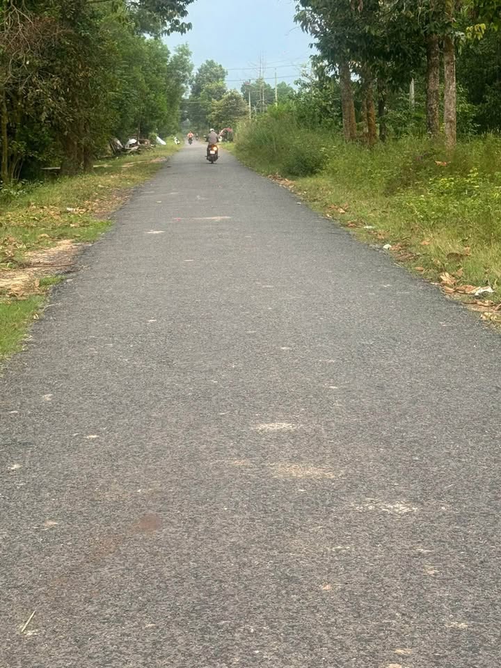 Đất nền Trí Bình Châu Thành 195m² giá thỏa thuận - Đường nhựa D14, gần trường cấp 3 Hoàng Văn Thụ