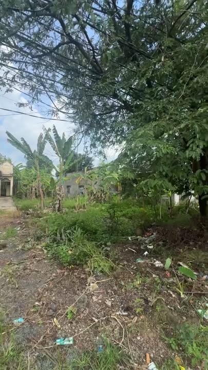 Đất nền Cây Gáo Trảng Bom 501m² giá 1.8 tỷ - Đầu tư sinh lời ngay!