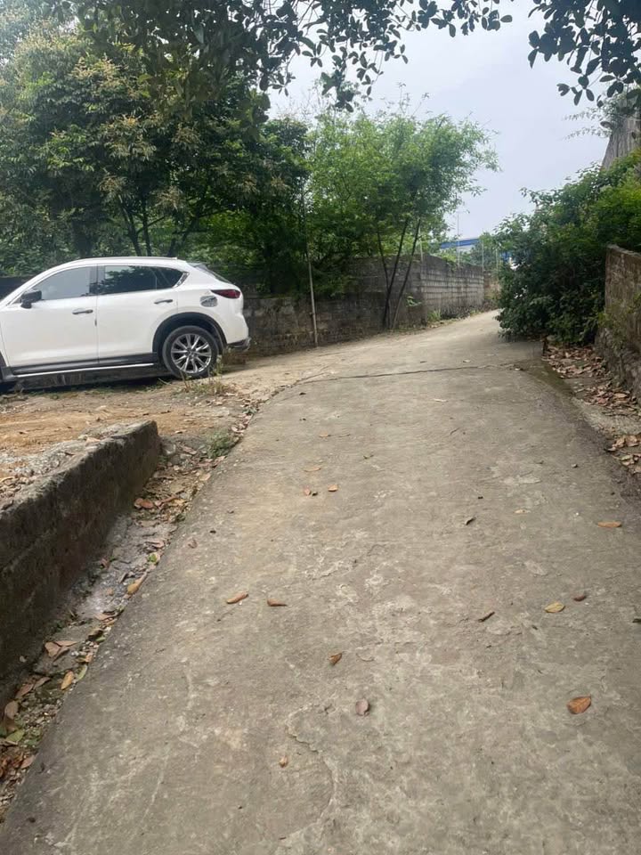 Đất Nền Nhuận Trạch 230m² giá 3 tỷ - Lô Góc 2 Mặt Tiền Đẹp!