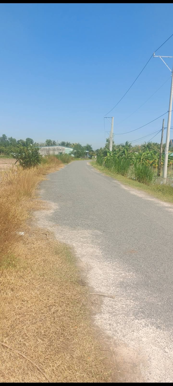 Đất nền 3630m² mặt tiền đường Đồng Khởi, Châu Thành, Tây Ninh - Giá thỏa thuận cực tốt!