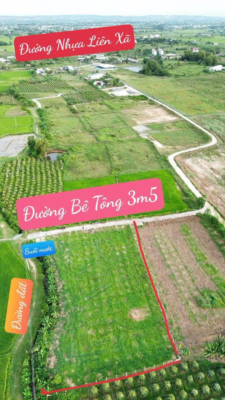 Đất nền 1800m² tại Hàm Liêm, Bình Thuận giá chỉ 630 triệu - Cơ hội đầu tư tuyệt vời!