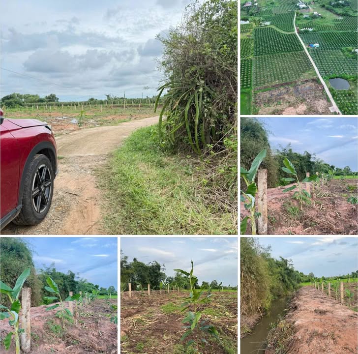 Đất nền Hàm Liêm 1600m² giá đầu tư hấp dẫn - Sổ hồng riêng, ngay cạnh cây xăng Lê Gia!