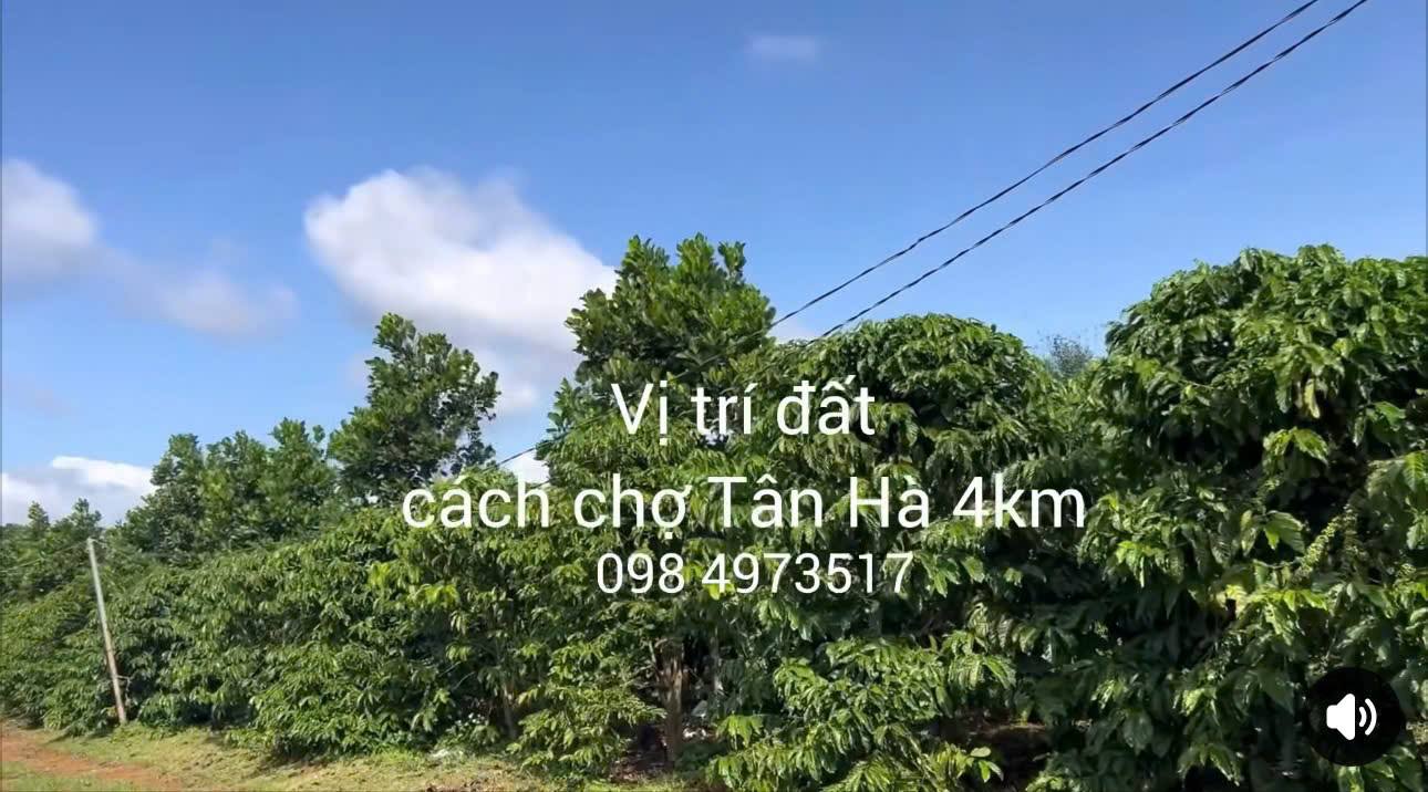 Đất nền xã Tân Hà, Lâm Hà 2032m² giá 1.45 tỷ - Sổ hồng chính chủ