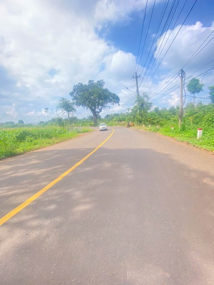 Đất mặt tiền đường Phan Huy Chú, Hòa Xuân 1504m² giá 7.85 tỷ - Đầu tư sinh lời đa ngành nghề!