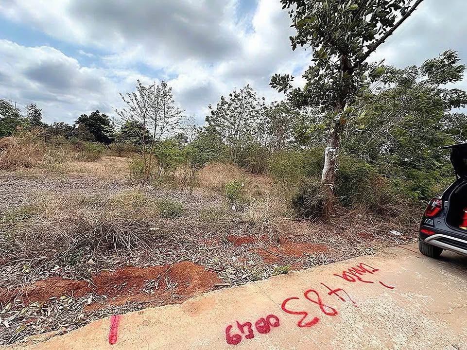 Đất nền phường Ea Tam 145m² giá chỉ 950 triệu - Cơ hội đầu tư tuyệt vời!