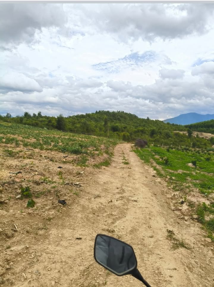 Đất nông nghiệp 12ha tại Hòa Phong, Krông Bông - Sổ đỏ chính chủ, thích hợp làm trang trại!