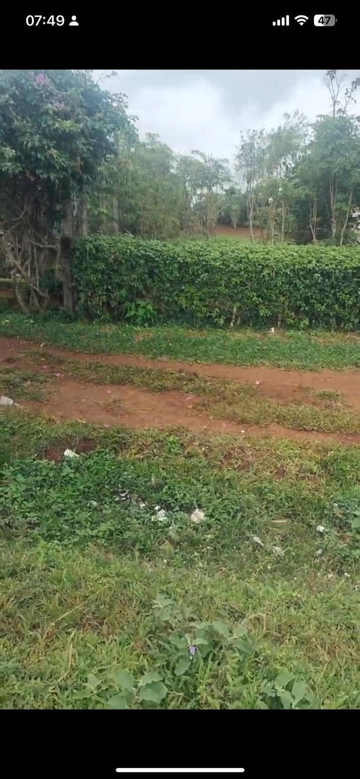 Đất nền thôn 4, xã Gào, Pleiku 1250m² giá 22.575 tỷ - Cơ hội đầu tư tuyệt vời!