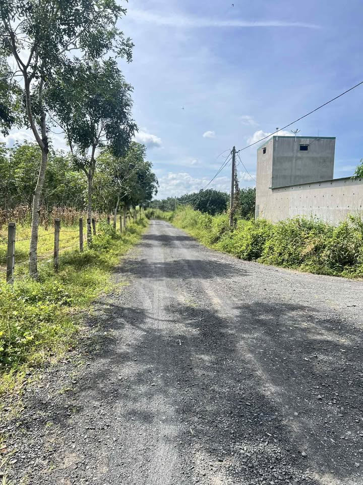 Đất Farm 24.000m² tại Ea Wer, Buôn Đôn giá 921.6 triệu - Sổ đỏ chính chủ!