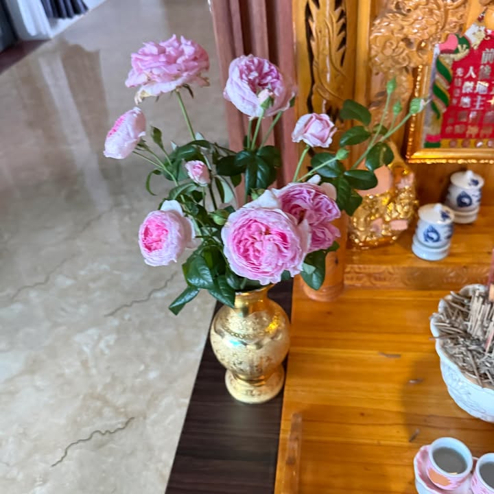 Đất thổ cư 1.4 sào tại Đắk Gằn, giá 25.2 tỷ - Tiềm năng đầu tư lớn!