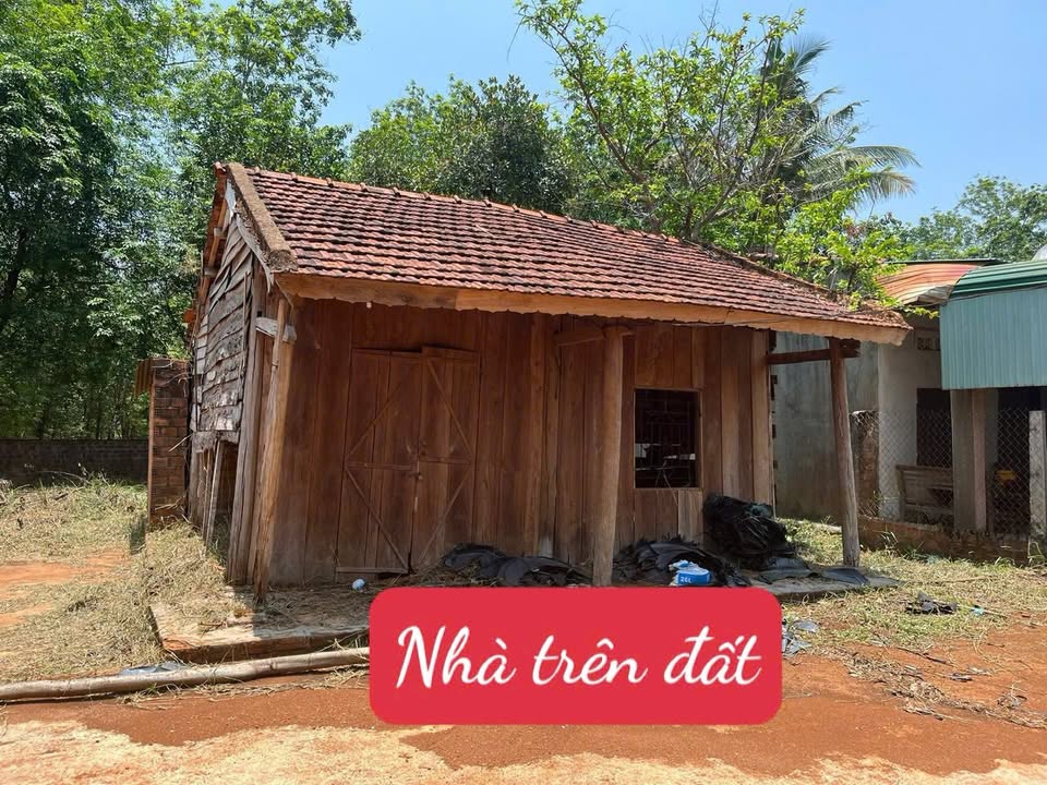 Lô đất đẹp tại Ia Chia, Ia Grai 400m² chỉ 429 triệu - Phong thủy cực đẹp!