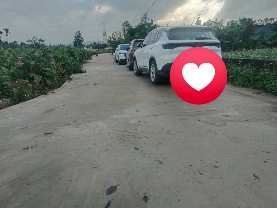 Đất thổ cư Thăng Bình 103m² giá chỉ 200 triệu - Cơ hội đầu tư hiếm có!