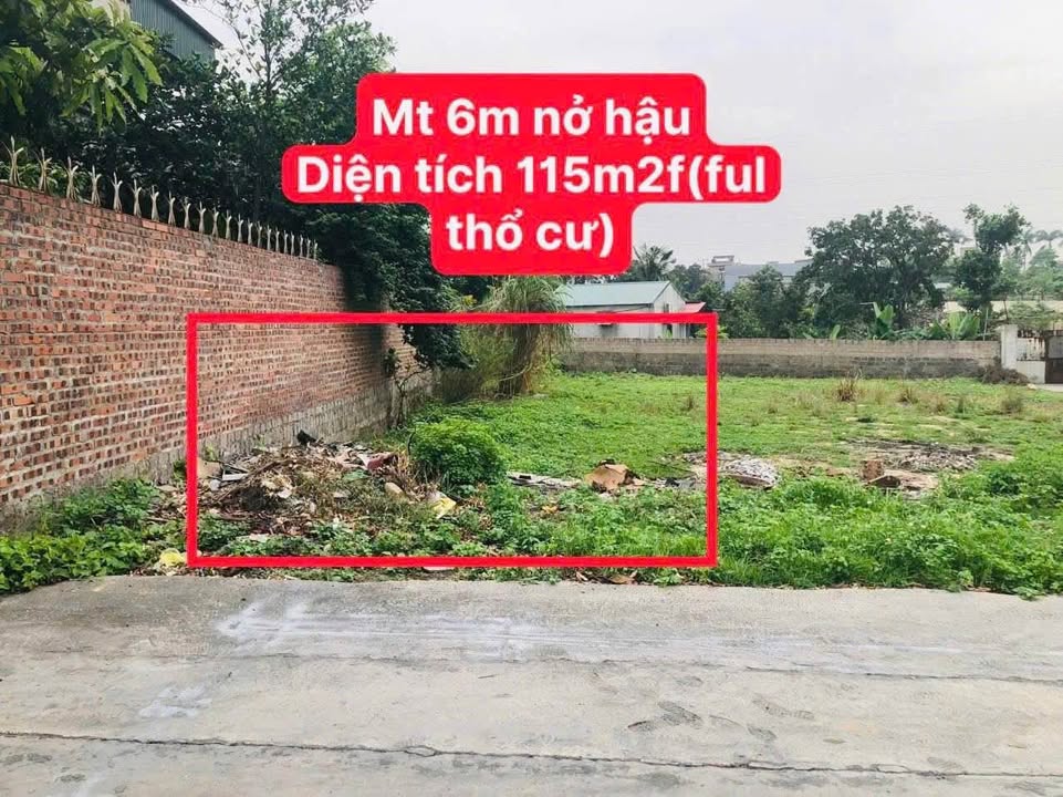 Đất thổ cư 115m² Mạo Khê giá 900 triệu - Cần bán gấp trong 3 ngày!