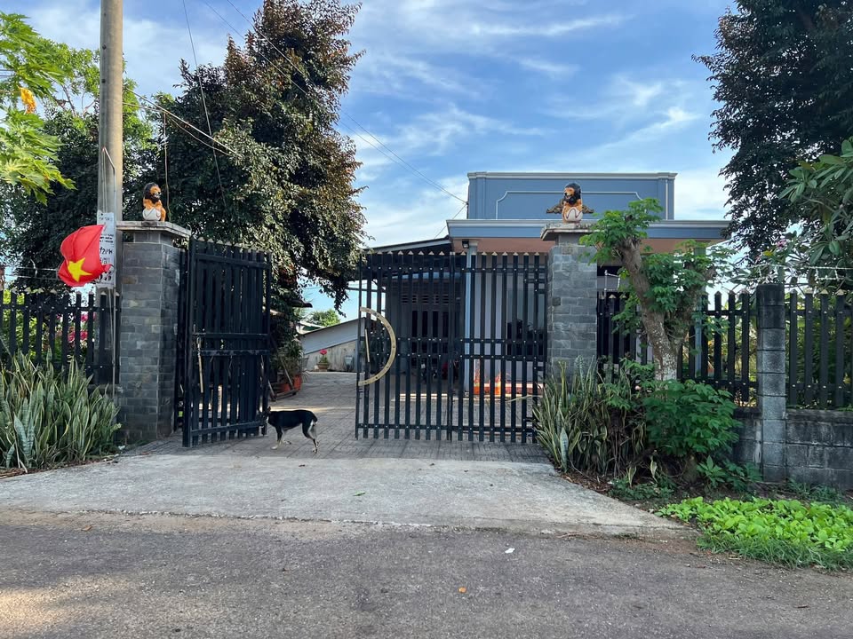 Đất Bàu Cạn Long Thành 4000m² - Sổ hồng chính chủ, đầu tư sinh lời!