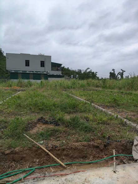 Đất nền Hạ Long 81m² giá 810 triệu - Đầu tư lý tưởng gần cầu 3 Tấn!