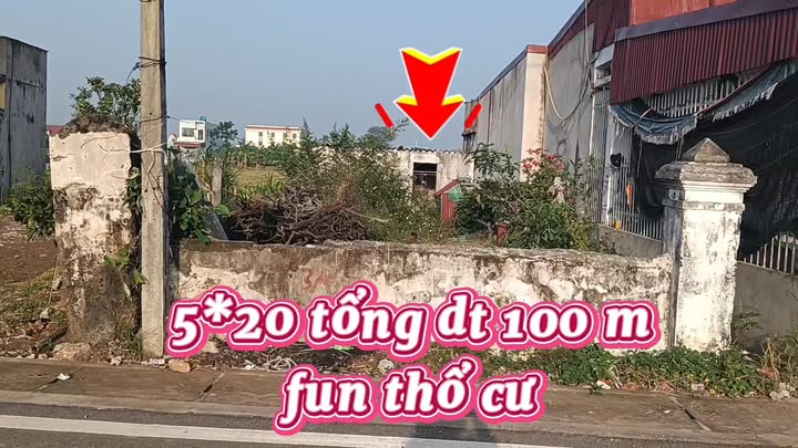Đất thổ cư 100m² xóm Sơn Đài, xã Hoành Sơn - Chỉ 2 tỷ, sổ đỏ chính chủ!