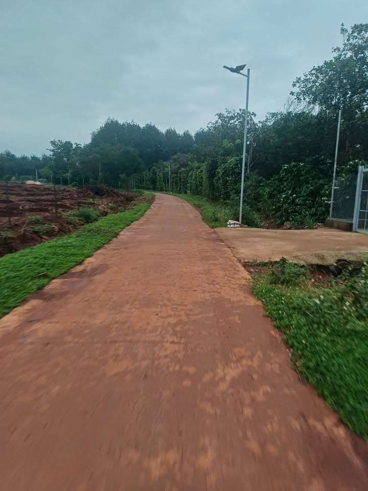 Đất nền xã Nghĩa Bình, Bù Đăng 90,000m² giá chỉ 1.5 tỷ - Sát khu dân cư, pháp lý rõ ràng!