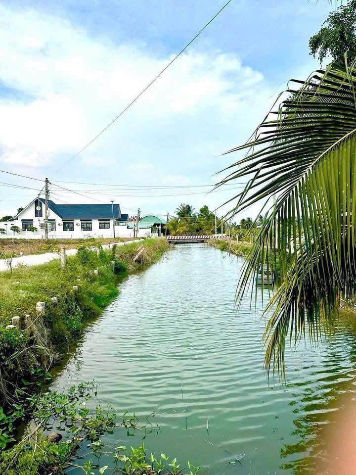 Đất nền Phú Ngãi Trị, Châu Thành, Long An 215m² giá 899 triệu - Giấc mơ biệt thự sân vườn bên Sài Gòn!