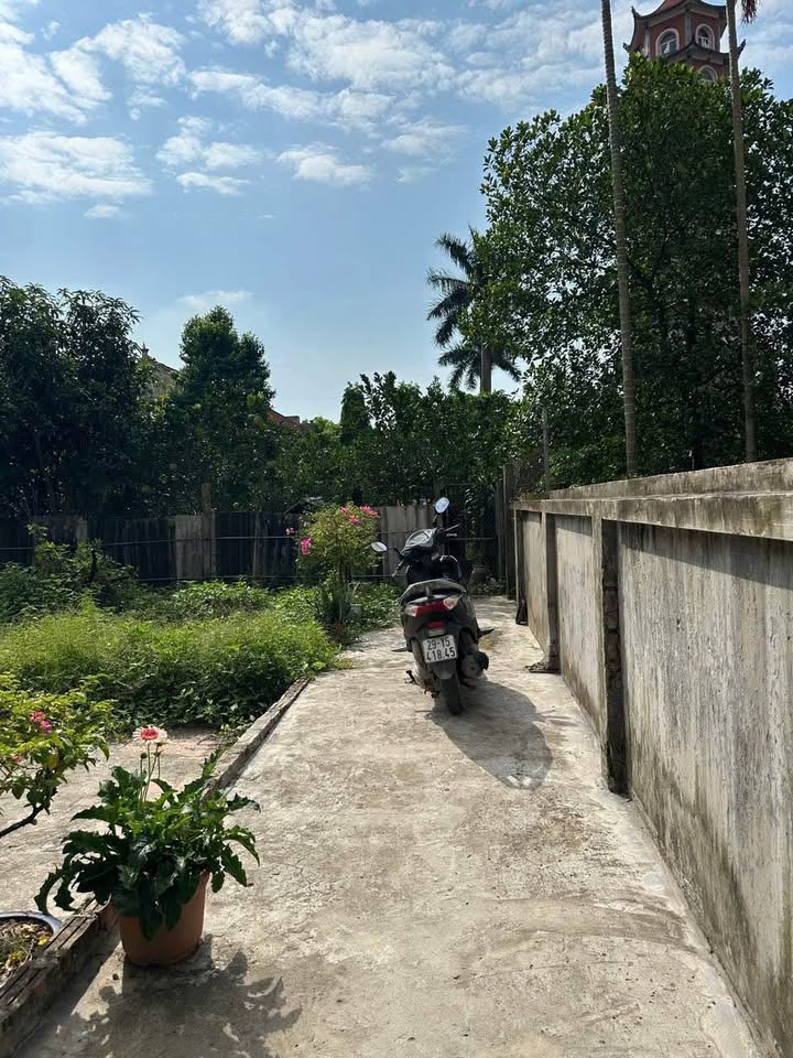 Đất nền xã Hà Hồi, Thường Tín 80m² giá 2.9 tỷ - Đầu tư sinh lời ngay!