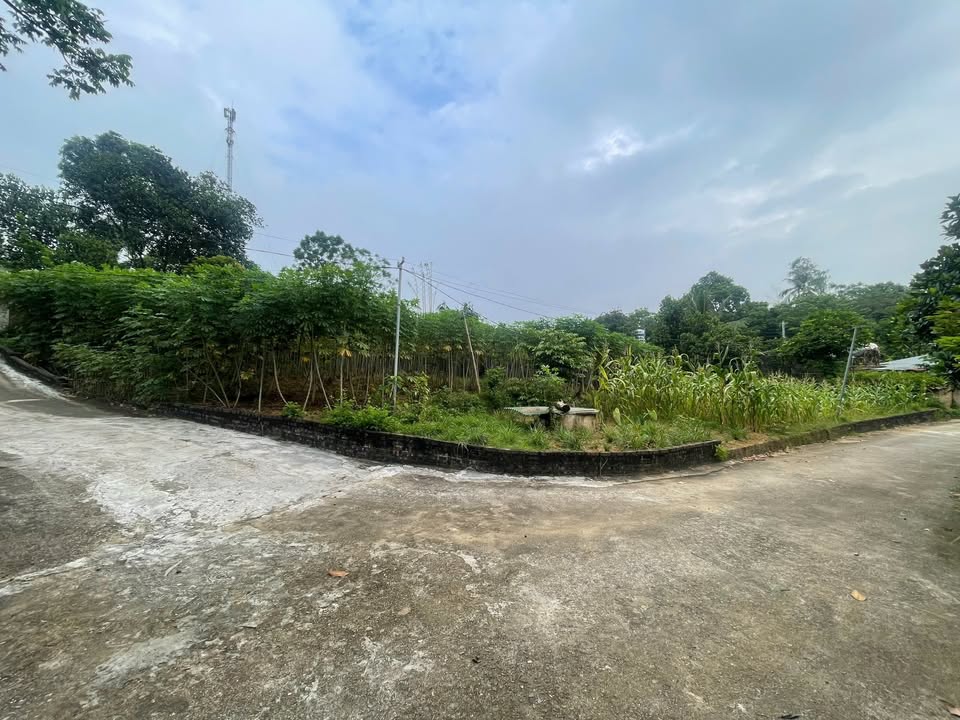 Đất nền Vạn Xuân, Tam Nông 391m² giá 800 triệu - Đầu tư sinh lời ngay!