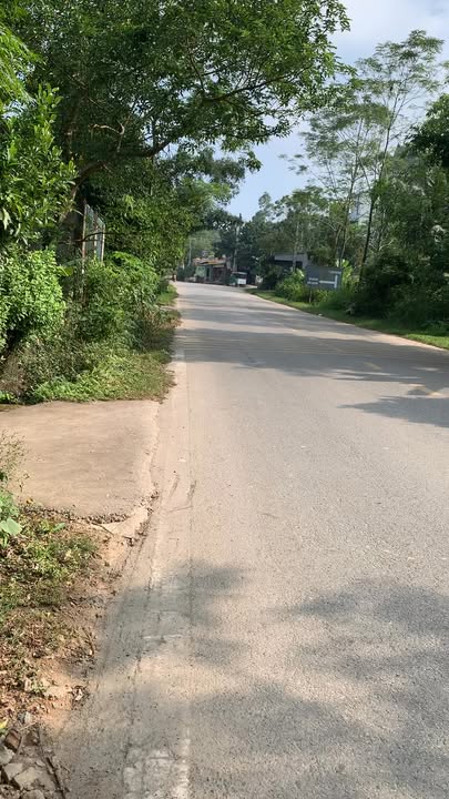 Đất nền mặt đường quốc lộ 70b, xã Sơn Tình, 159m² - Tiềm năng phát triển lớn!