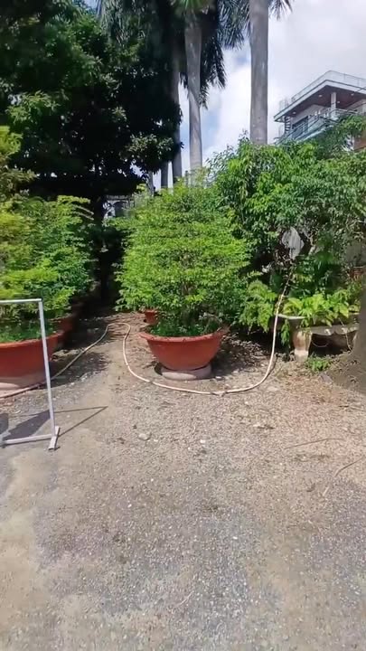 Bán nhà xưởng Trần Văn Mười, Hóc Môn 3973m² - Giá tốt cho nhà đầu tư!