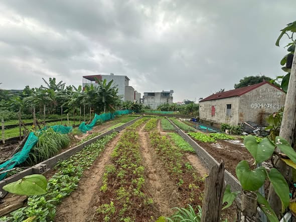 Đất vườn Hưng Đạo, Dương Kinh 108m² chỉ 3 tỷ - Cơ hội đầu tư tuyệt vời!