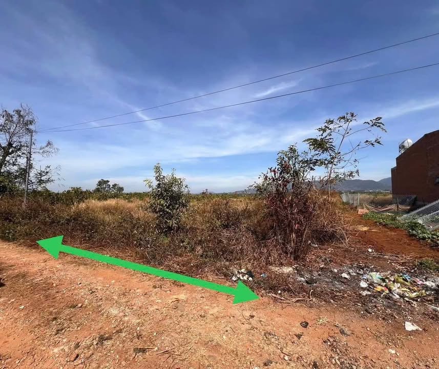 Đất nền đường Đoàn Kết, Pleiku 250m² giá 500 triệu - Cơ hội đầu tư tiện lợi!