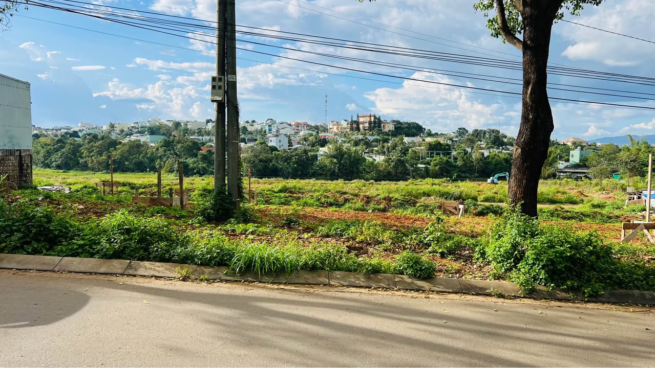 Đất mặt tiền Tôn Thất Tùng, Pleiku, 100m² giá 2.5 tỷ - Cơ hội đầu tư lý tưởng!
