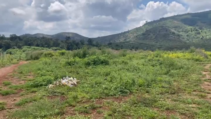 Đất nền 4,7 sào tại Ia Bá, Ia Grai - Giá chỉ 480 triệu, đầu tư sinh lời!