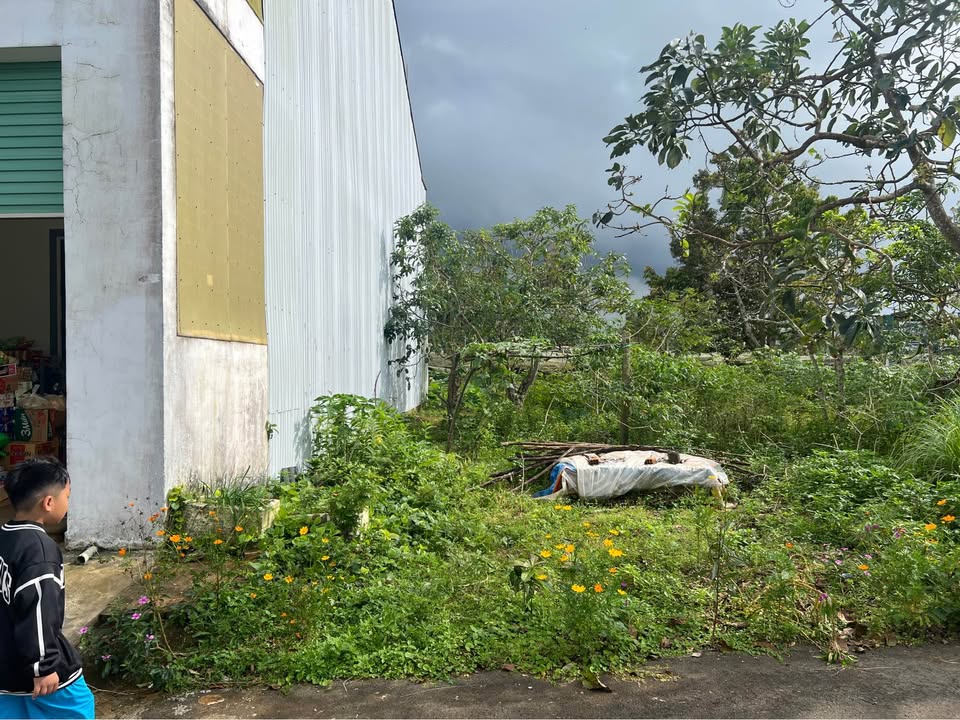 Đất thổ cư Bảo Lộc 110m² giá 1.6 tỷ - Sổ đỏ chính chủ