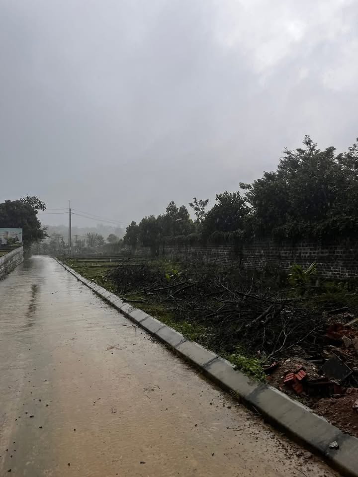 Đất nền 100m² xã Hòa Thạch, Quốc Oai giá 500 triệu - Mặt tiền 10m, đầu tư sinh lời!